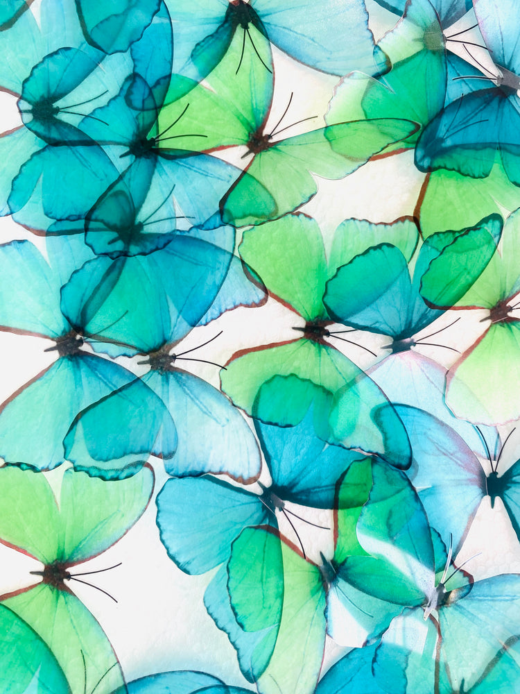 Green and Turquoise hand crafted Butterflies cake decorating