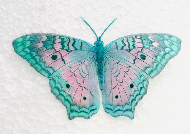 turquoise fantasy butterflies cake decorating