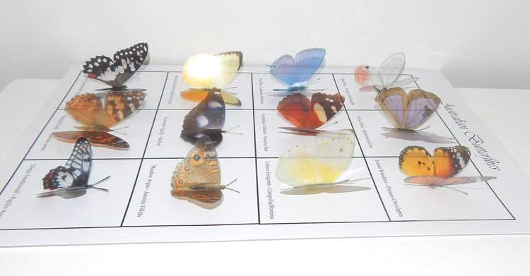 Australia 3d butterfly poster