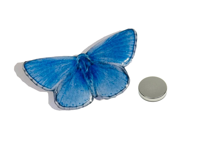 hOLLY blue butterfly HANDMADE MAGNET