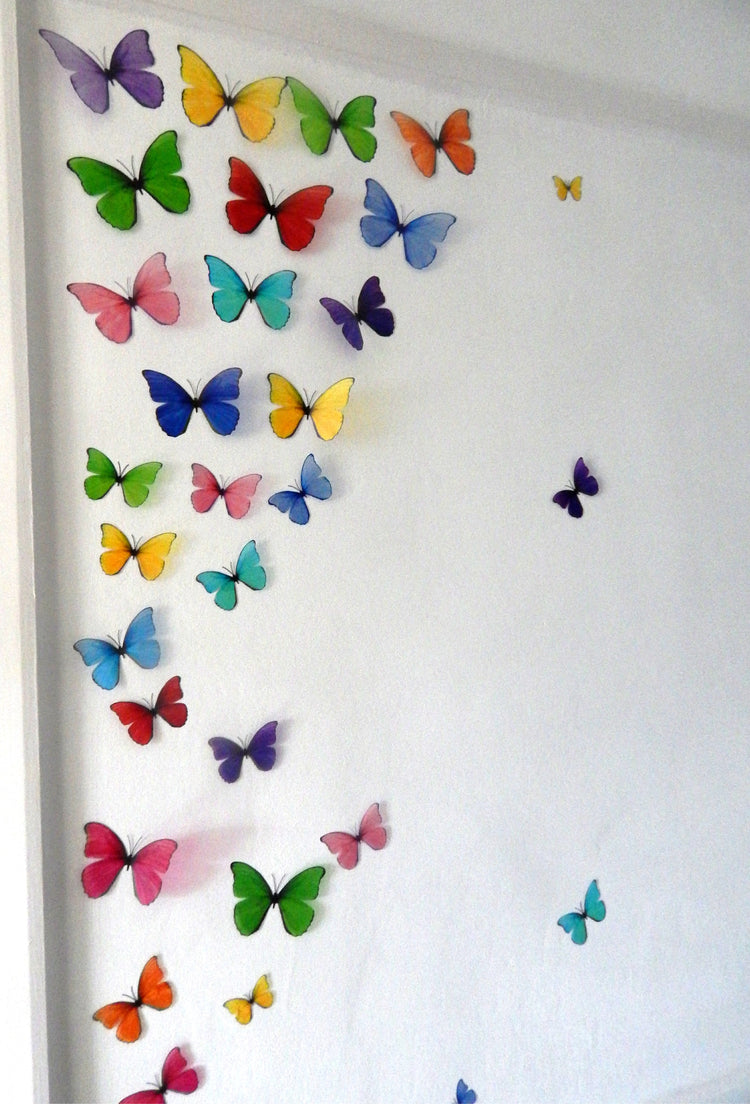 hallway display of butterflies