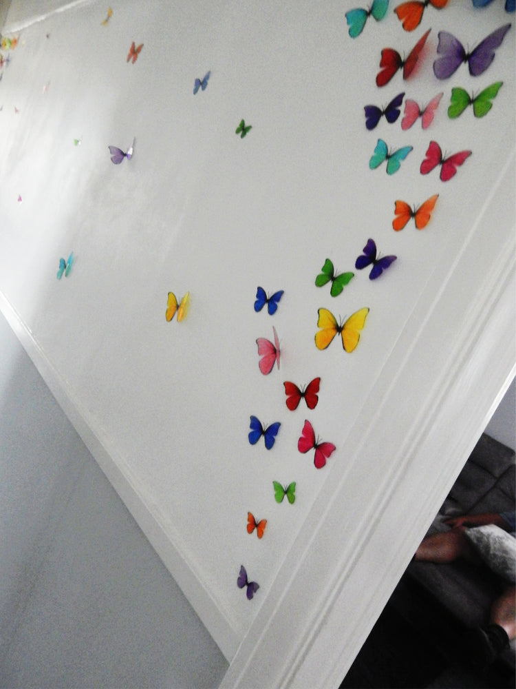 multi-coloured rainbow display of butterflies