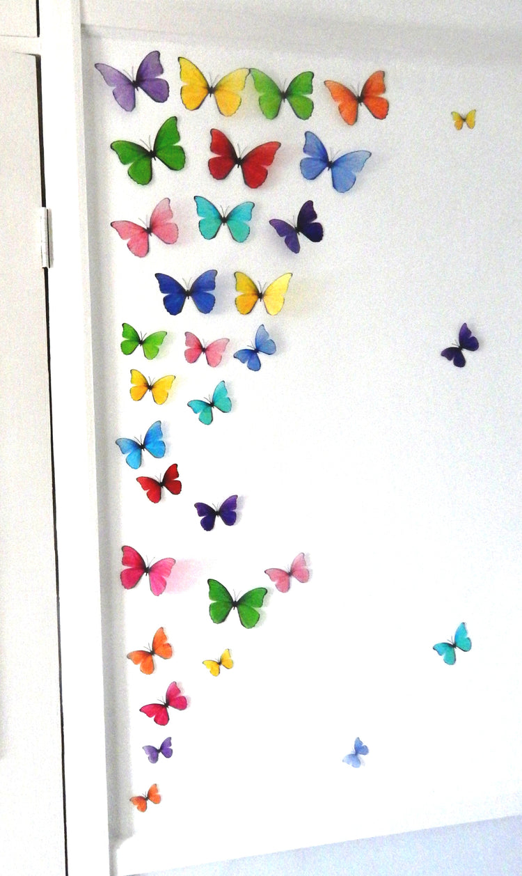 wall multi-coloured rainbow display of butterflies