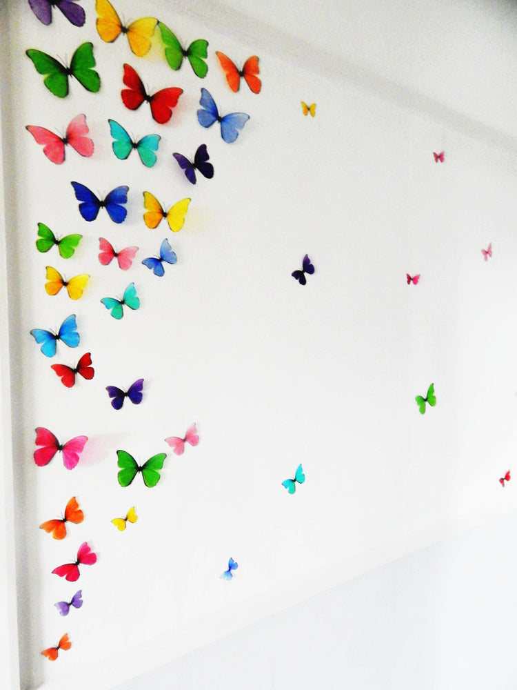 multi-coloured rainbow display of butterflies