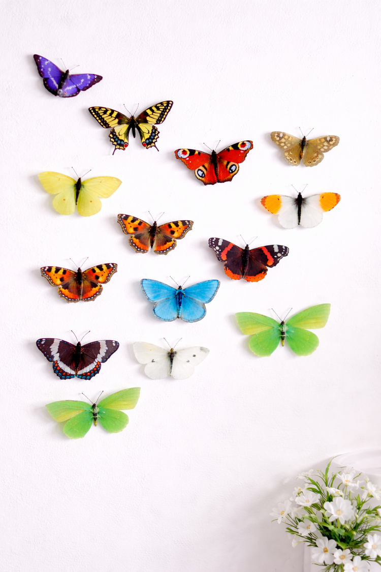 British butterflies set of 12