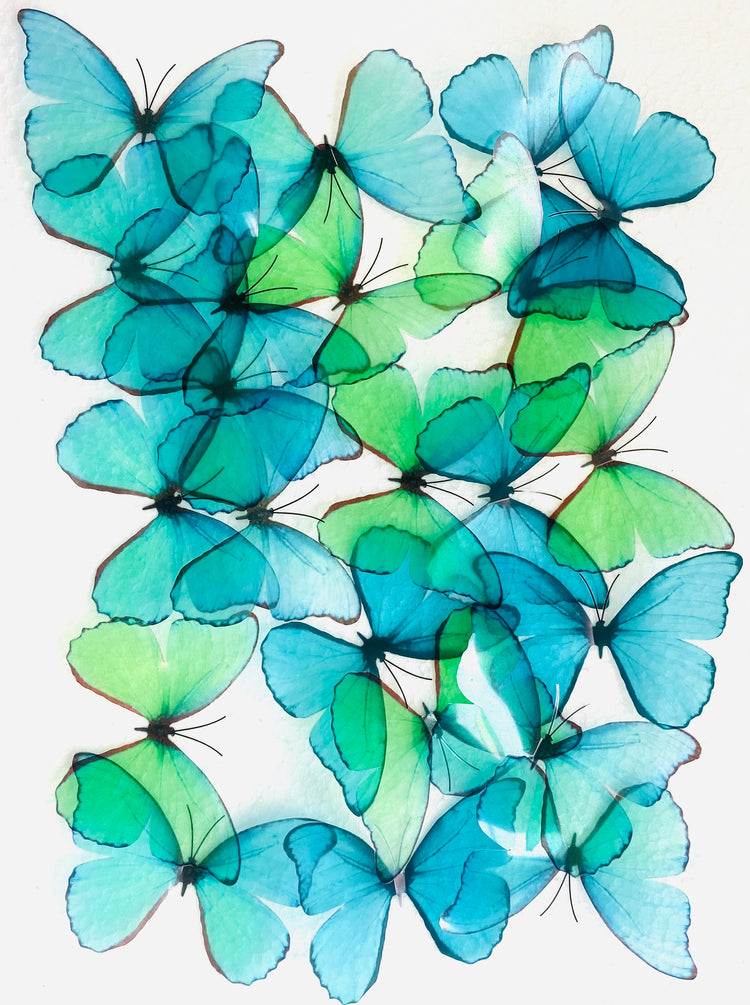 Beautiful 3D Green and Turquoise Butterflies, set of 18, 7cm wide. Embellishments, wedding cake decorations, decorative Teal butterflies