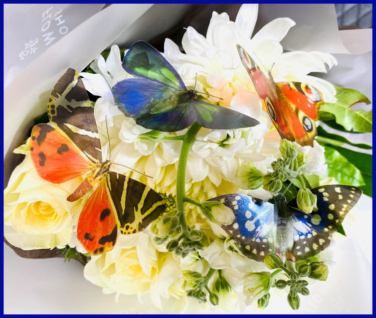 Worldwide butterflies. Collection of butterflies from all 6 continents. sets of 12 butterflies.Rustic butterflies from around the world