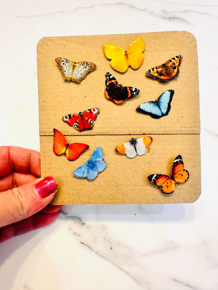 Butterfly Pin lapel brooch.Butterflies from around the world