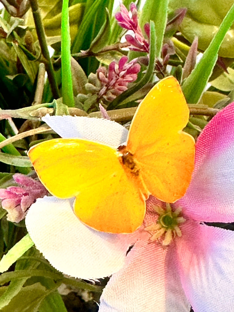 Butterfly Pin lapel brooch.Butterflies from around the world