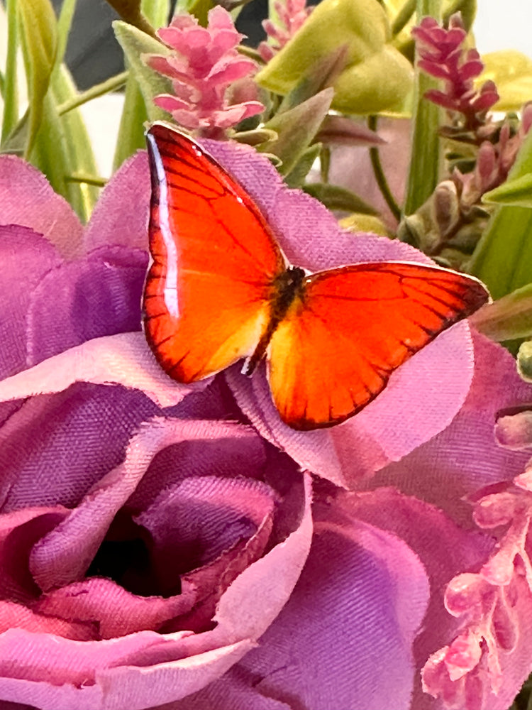 Butterfly Pin lapel brooch.Butterflies from around the world