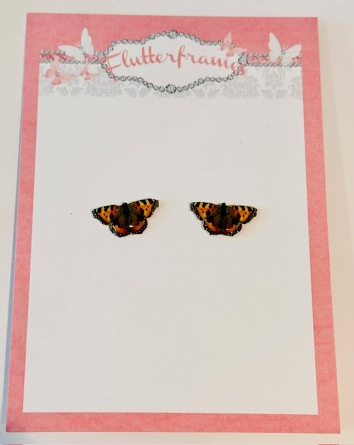 Small Tortoiseshell stud butterfly earrings