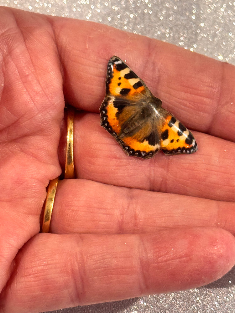 Tortoiseshell Butterfly brooch