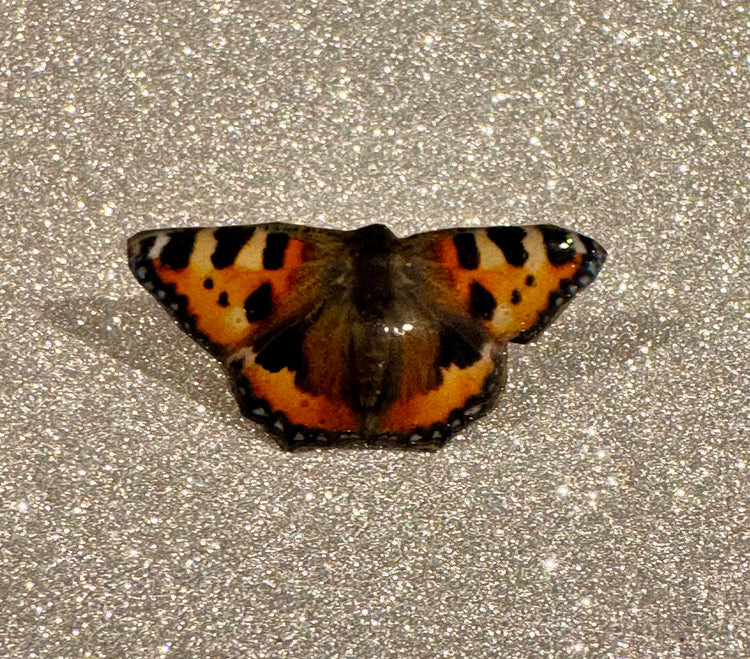 Tortoiseshell Butterfly Pin lapel brooch and other British butterflies.Red Admiral,Peacock,Common Blue,Orange Tip Lapel,brooch,pin.Enamel tin can pin