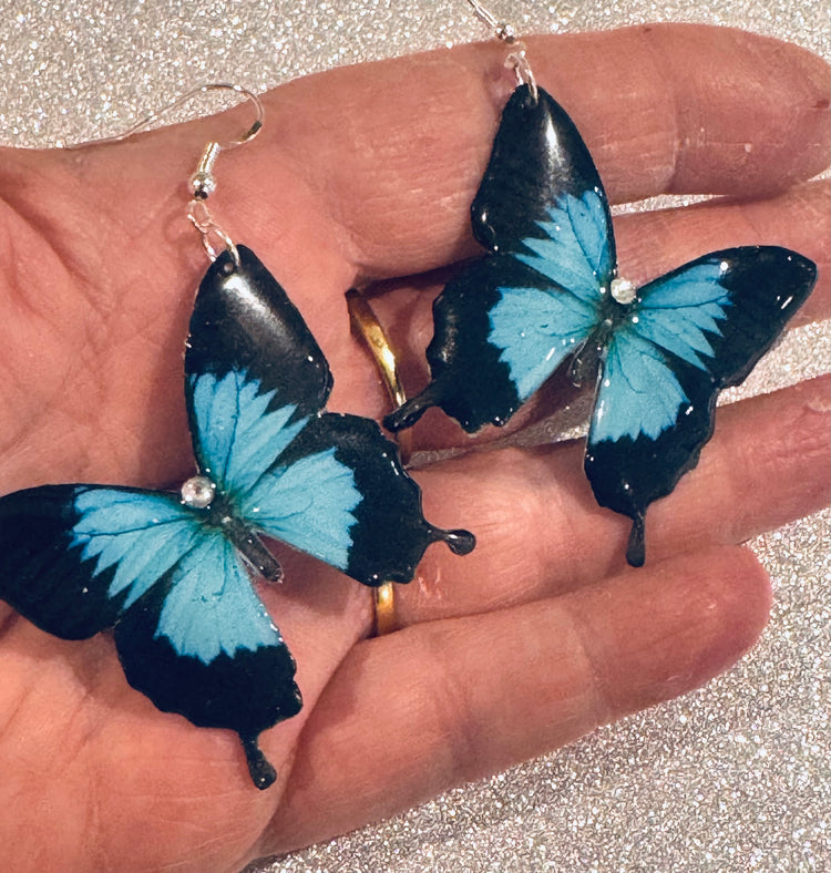 Turquoise Monarch butterfly earrings.