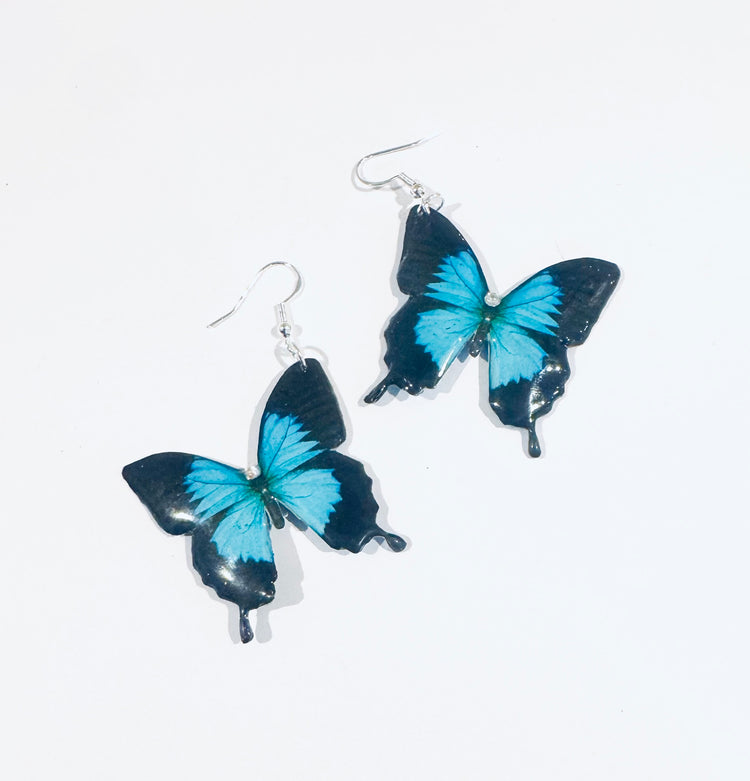 Turquoise Monarch butterfly earrings. the Channel of earrings