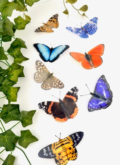 8 natural 3D butterflies,3d wall decor butterflies, realistic butterflies from the Flutterframes collection