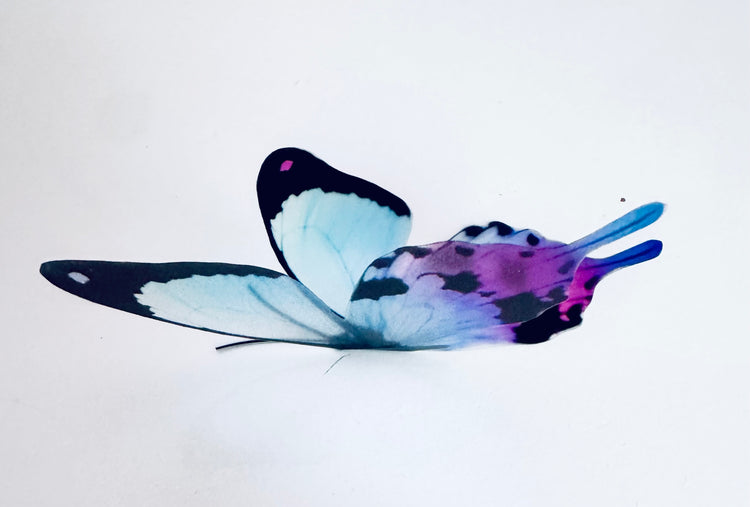 lilac and blue wedding butterflies