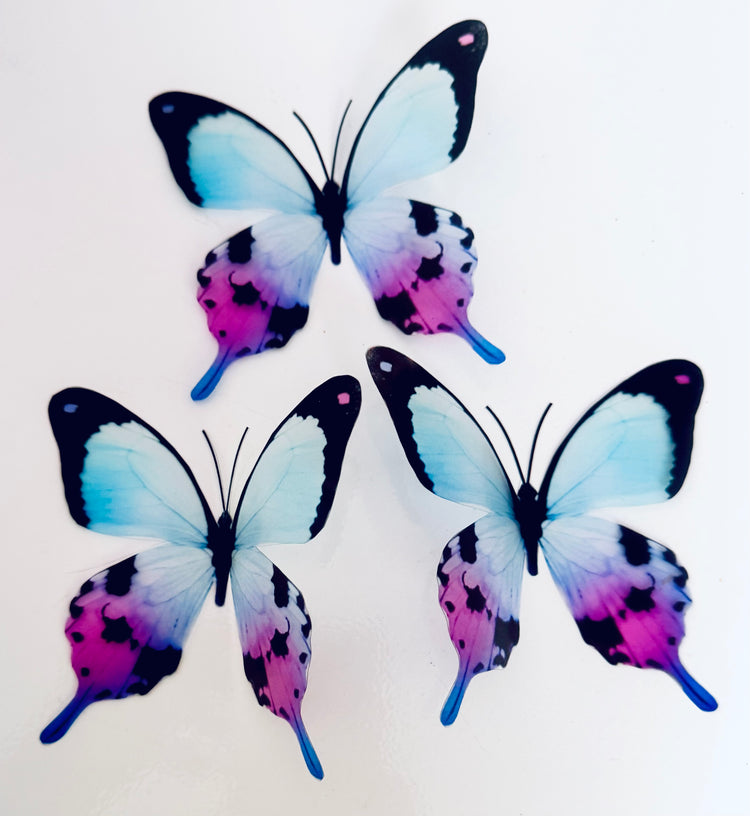 beautiful artificial butterflies