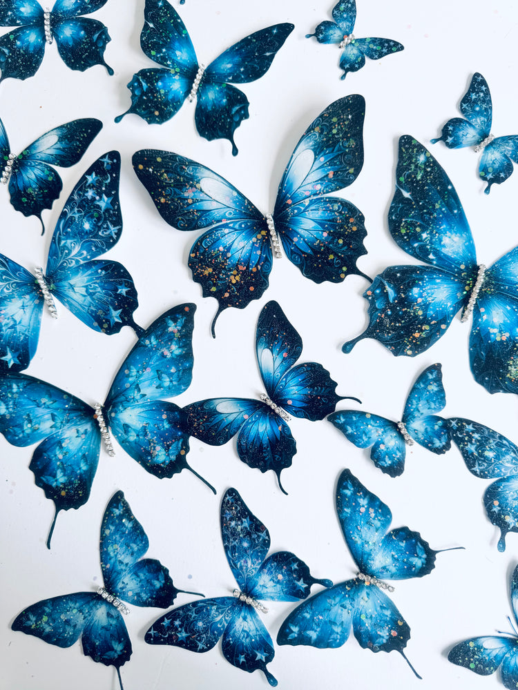 blue stars and moon butterfly display