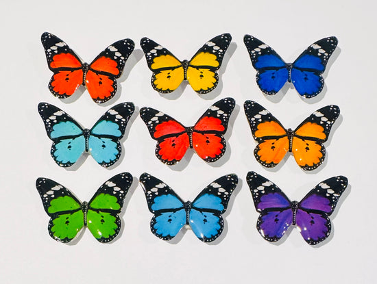 colourful butterfly enamel pin