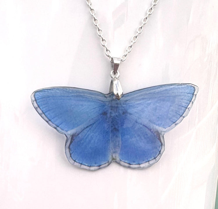 Holly Blue butterfly pendant. They look like real butterflies.Adonis Blue butterfly Resin translucent butterfly necklace.