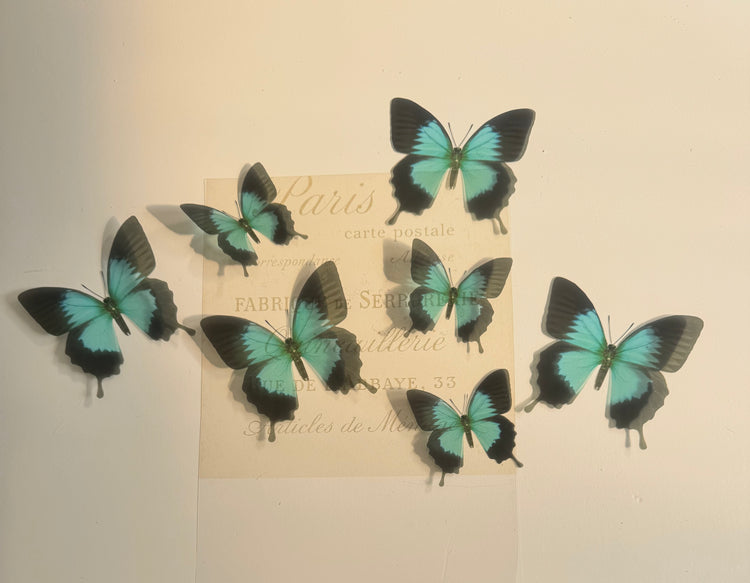 Handmade Monarch Teal Butterfly