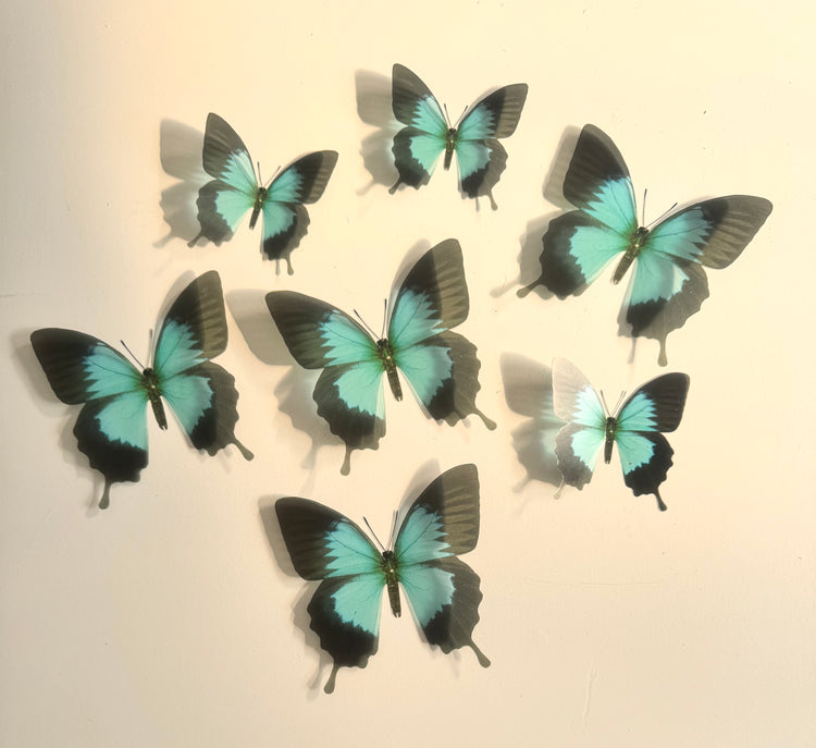 Handmade Monarch Turquoise Butterfly decor