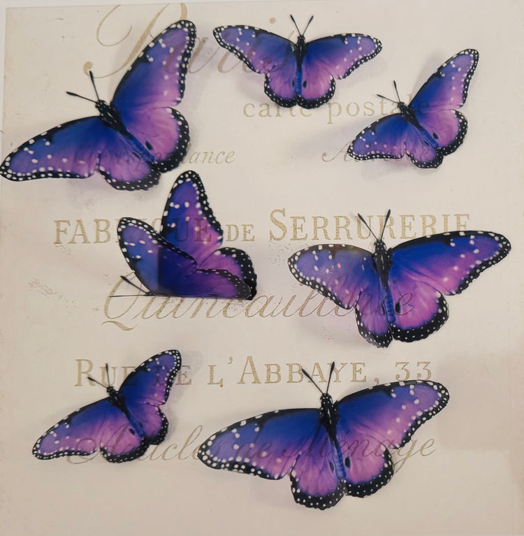 Beautiful purple butterflies