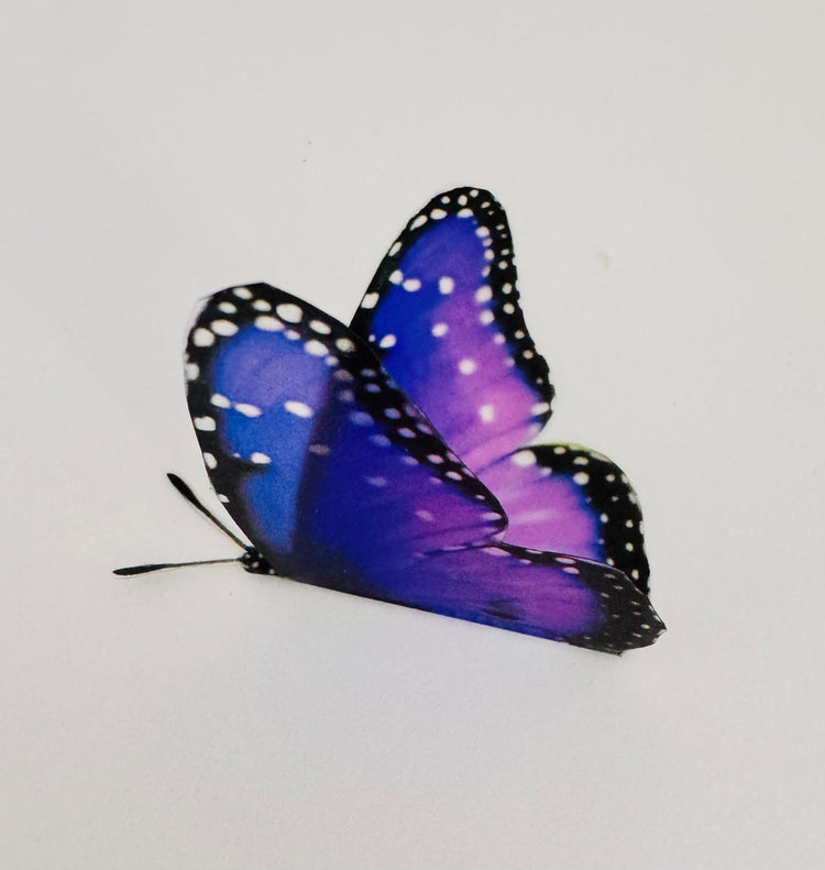 3d purple butterfly