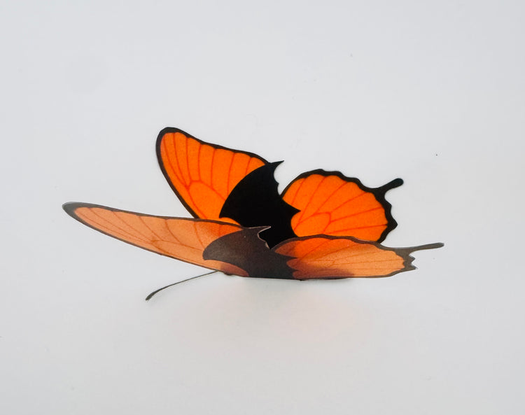 Halloween butterfly decor wall sticker