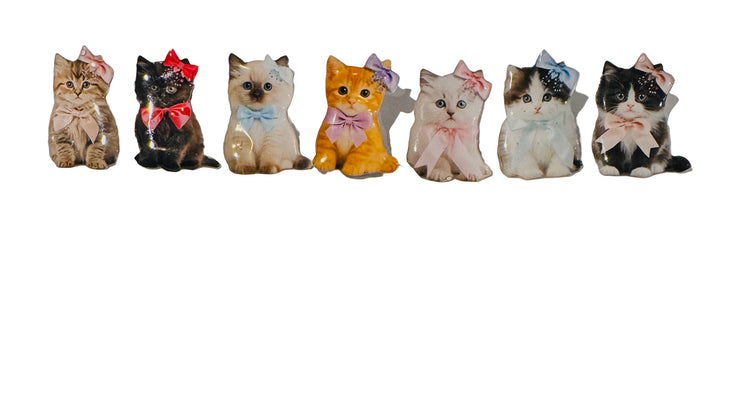 7 gorgeous kittys enamel pins or magnets