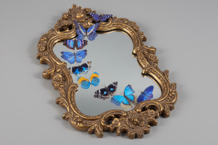 Blue Natural butterflies from our blue Country collection