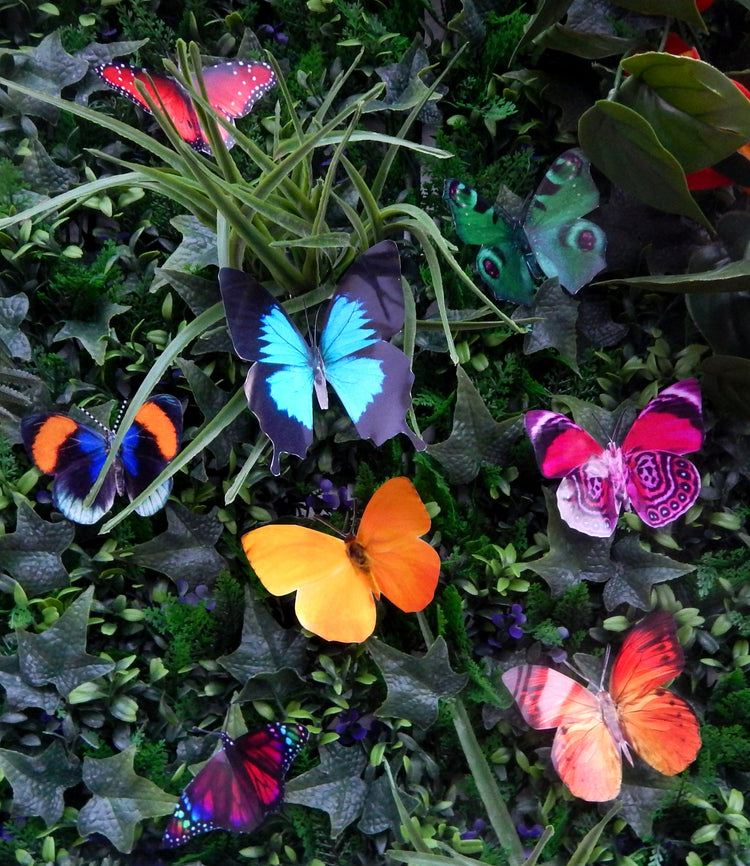 Tropical butterflies decor