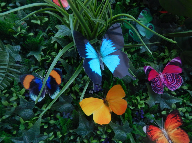8 Tropical natural faux 3D butterflies for wall, bathroom,tiles,conservatory,flower pots, mirrors, faux foliage, lamps ect.. Handmade