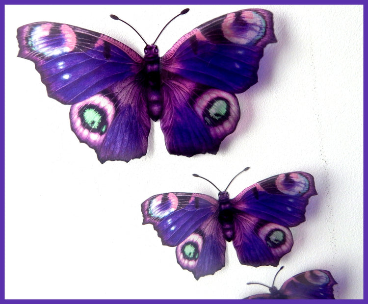 purple peacock decor