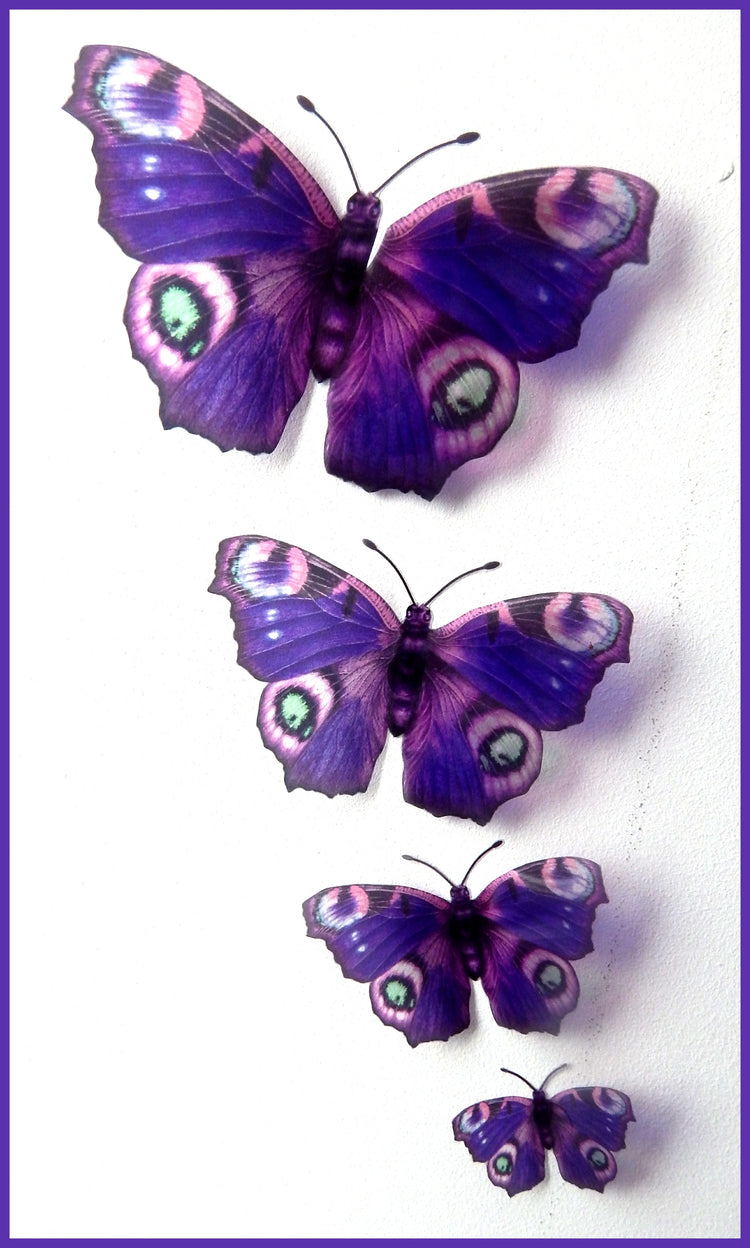 Altered images. Peacock butterflies . Handcrafted