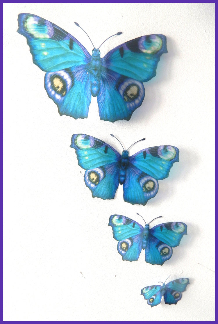Altered images. Peacock butterflies . Handcrafted