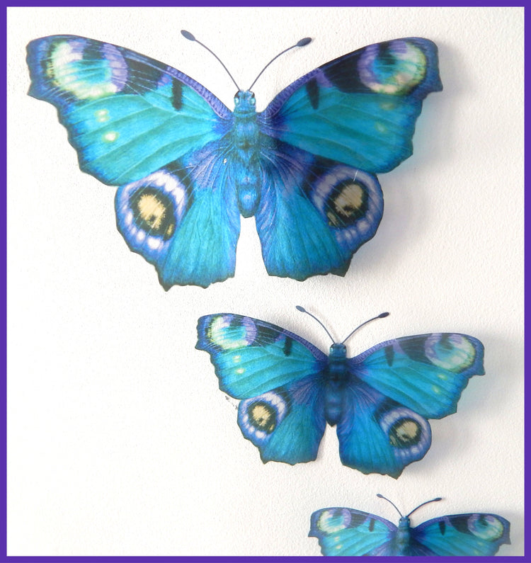 Altered images. Peacock butterflies . Handcrafted