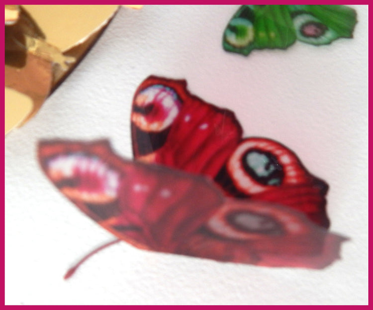 Altered images. Peacock butterflies . Handcrafted