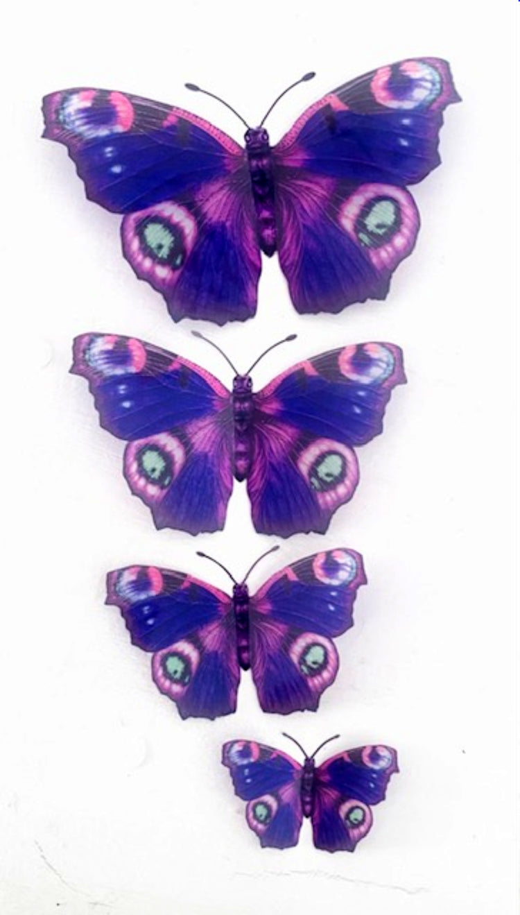 purple butterflies
