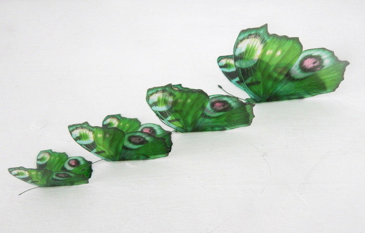 Green Peacock butterflies