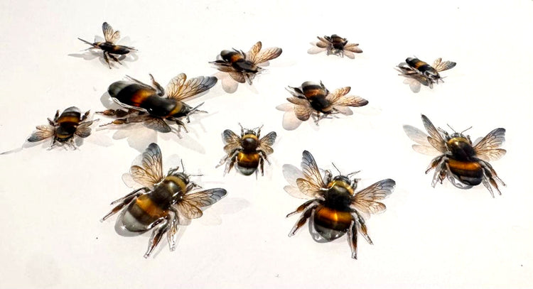 Artificial realistic life like bees