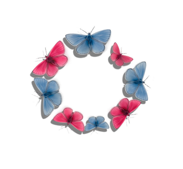 blue and pink butterfly wall decor