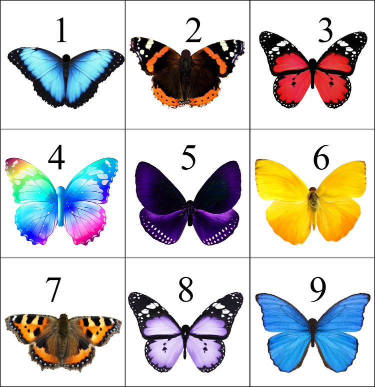 butterfly chart by Flutterframes