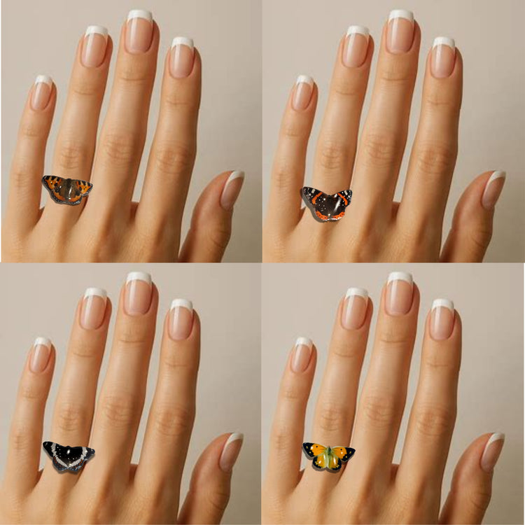 Handmade butterfly rings. British butterfly collection. Peacock, Red Admiral, Purple emperor and Clouded yellow