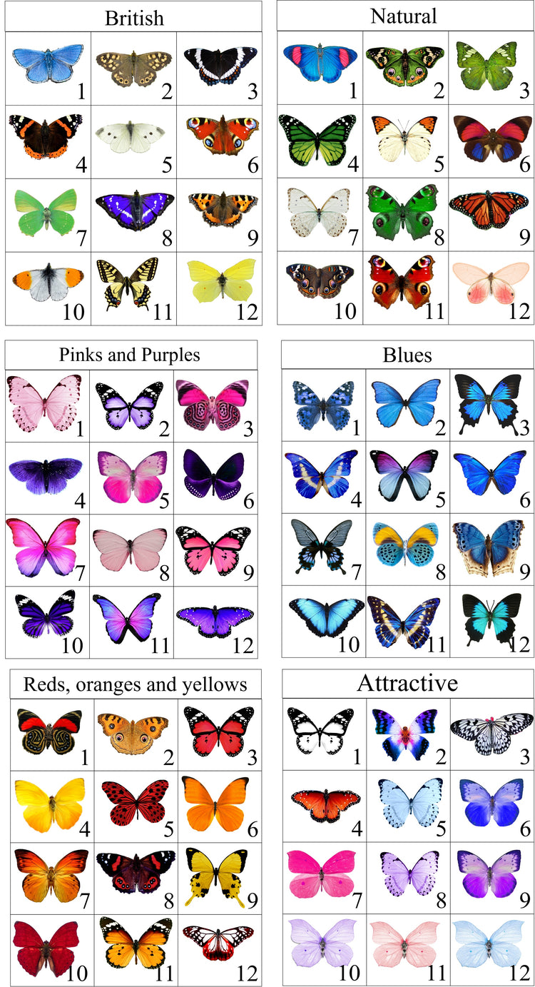 Christmas tree decorations,3d butterfly clips,hair clips