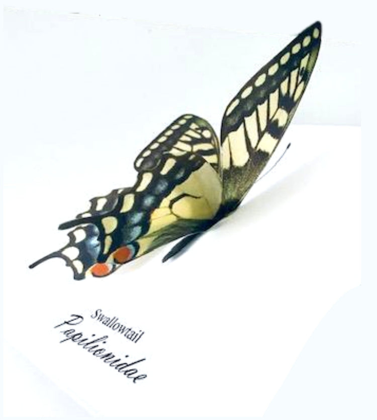 Swallowtail butterfly personalised birthday card