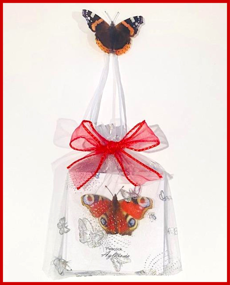 pack of 6 gift Butterfly blank cards