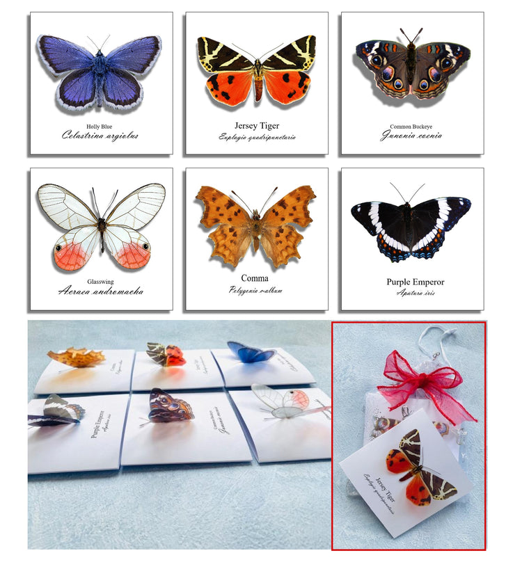 3d butterfly pop up cards