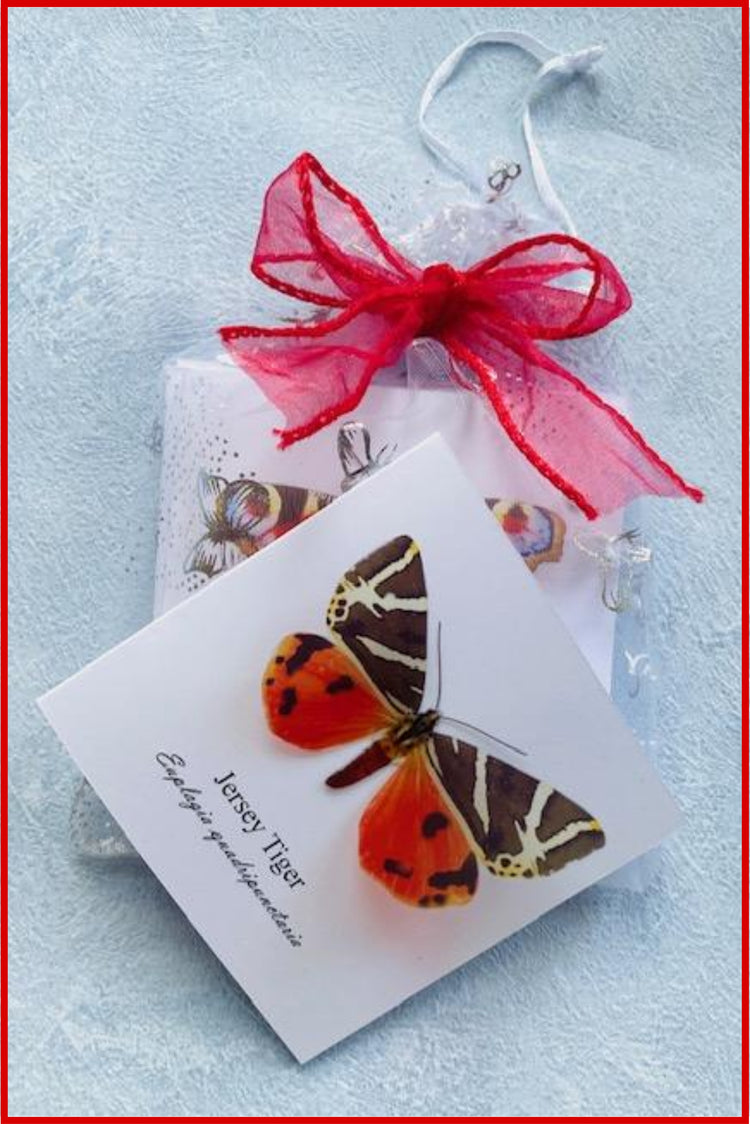 3d butterfly pop up cards christmas gift